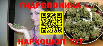 дурь Заводоуковск
