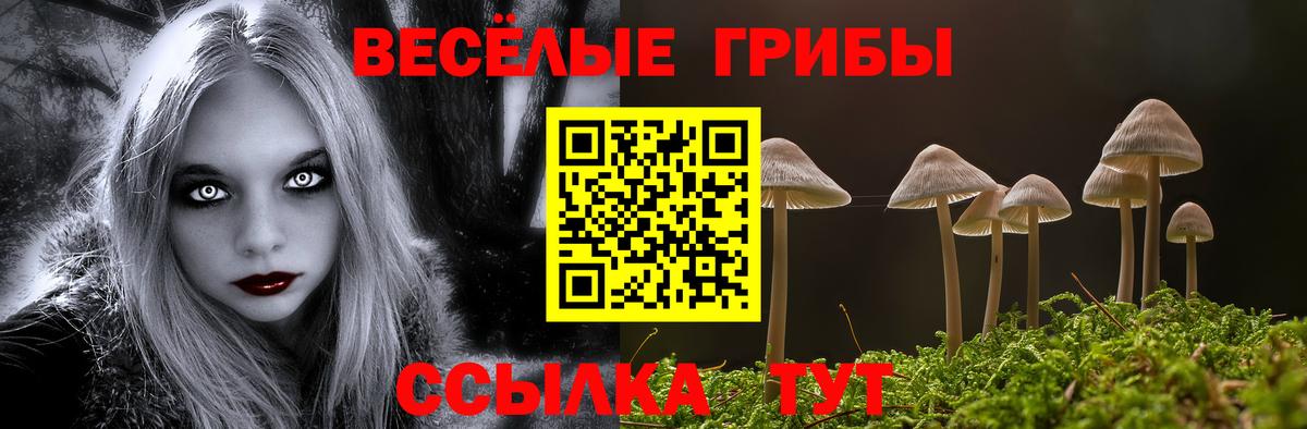 Псилоцибиновые грибы ЛСД  что такое наркотик  Лесосибирск  Вход с VPN 